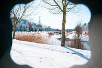 Snowy landscape