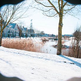 Snowy landscape by Renske van Lierop