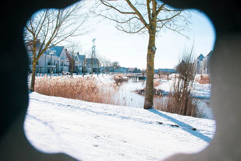 Snowy landscape by Renske van Lierop