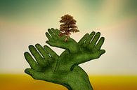 Die schützenden Hände (3) von Ursula Di Chito Miniaturansicht