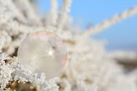 Frozen soap bubble