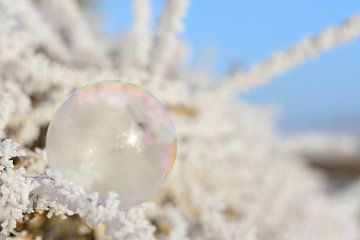 Bevroren zeepbel van Ulrike Leone