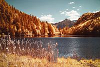 L'été et l'automne au lac Alatsee et dans les Alpes en Bavière