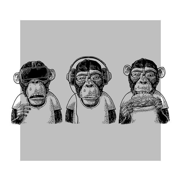 Monkey Business par Marja van den Hurk