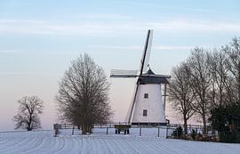 Ter Hengst mill by Nicola Mathu