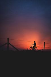 Evening cyclist