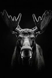 Elch von Poster Art Shop