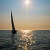 Sailboat at sunset on the Wadden between Schier and Lauwersoog by Steven Boelaars