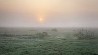 Polderlandschaft