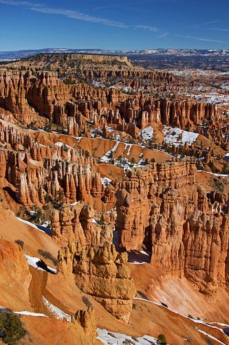 Bryce Canyon in Utah during the winter