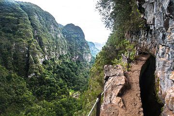 Waterways in Madeira by Leo Schindzielorz