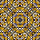Camomilla&Calendula by SheThinksInColors thumbnail