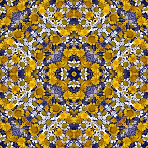 Camomilla&Ringelblume