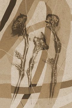 Organische vormen en bloemen.  Moderne abstracte botanische geometrische kunst in beige en bruin van Dina Dankers