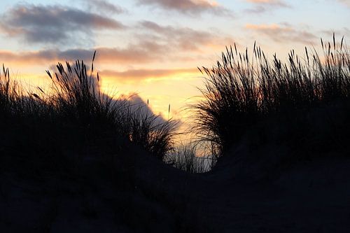 Avondlicht bij West aan Zee