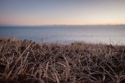 Grass at sundown by Annika Koole