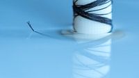 Reflectie in blauw