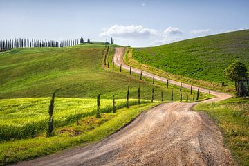 Route van de Via Francigena in Toscane van Stefano Orazzini