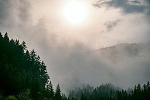 Wolken über dem Wald im Tal von Zgornje Jezersko, Blick während der