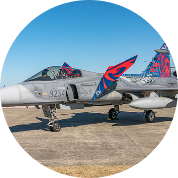 Saab JAS-39C Gripen van de Tsjechische Luchtmacht.