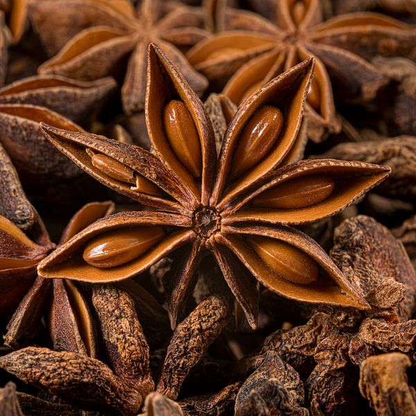Imperfection is perfect in a square: Star anise between others by Marjolijn van den Berg