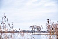 Wunderschöne Aussicht auf das Wasser