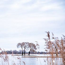 Wunderschöne Aussicht auf das Wasser von Corine Harkes