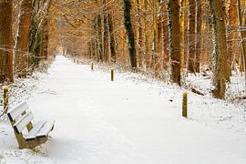 Landgut Vrijerslaantje Nienoord im Schnee von R Smallenbroek
