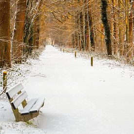 Vrijerslaantje Nienoord estate in the snow by R Smallenbroek