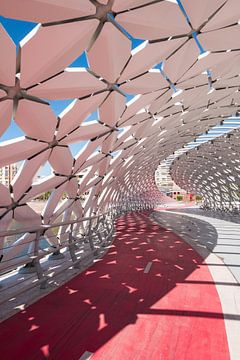 Moderne Atyrau brug in Astana, Kazakhstan van Sidney van den Boogaard