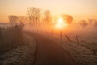Sonnenaufgang in Geraarsbergen