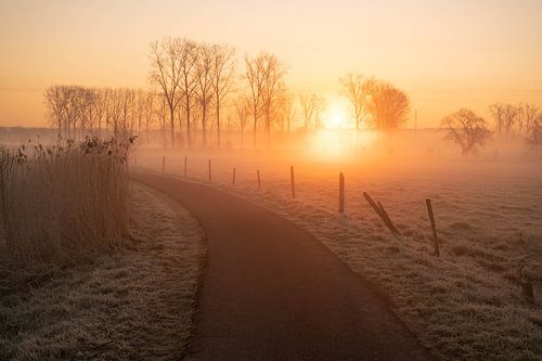 zonsopkomst in Geraarsbergen