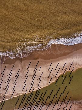 Palendorp bij Petten vanuit de lucht van Nico van Maaswaal