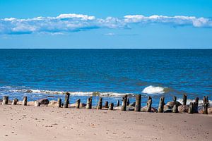 Buhnen an der Küste der Ostsee in Kühlungsborn