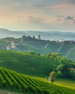Der Barbaresco-Turm und die Weinberge der Langhe bei Sonnenuntergang