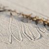 Patterns in the sand by Struinkunst