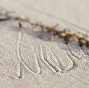 Patterns in the sand van Struinkunst thumbnail