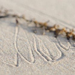 Patterns in the sand