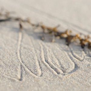 Muster im Sand von Struinkunst