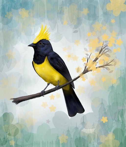 Sultan tit, digital drawing by Bianca Wisseloo