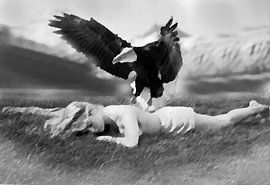 meisje met zee arend-girl with sea eagle-fille avec l?aigle de mer-Mädchen mit Seeadler by aldino marsella