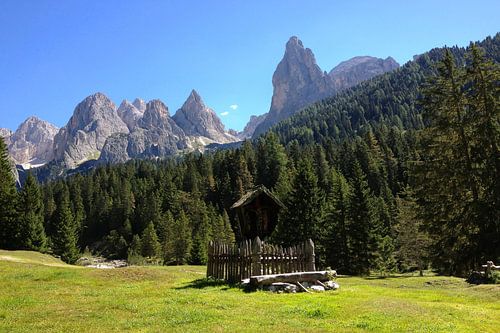 An alpine high valley beneath a clear blue sky