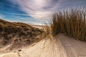 Duinen van Rockanje van Ilya Korzelius