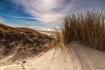 Dunes of Rockanje