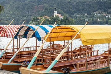 mooie houten rondvaartboten op lake Bled in Slovenië