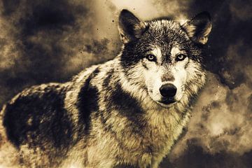 Wolf van Mateo