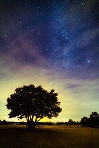 Het heelal of universum met boom in de voorgrond van Marcel Kerdijk