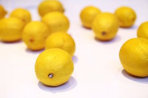 fresh - gelbe Zitronen