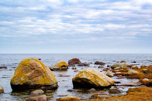 Steine im Wasser van Steffen Schöne