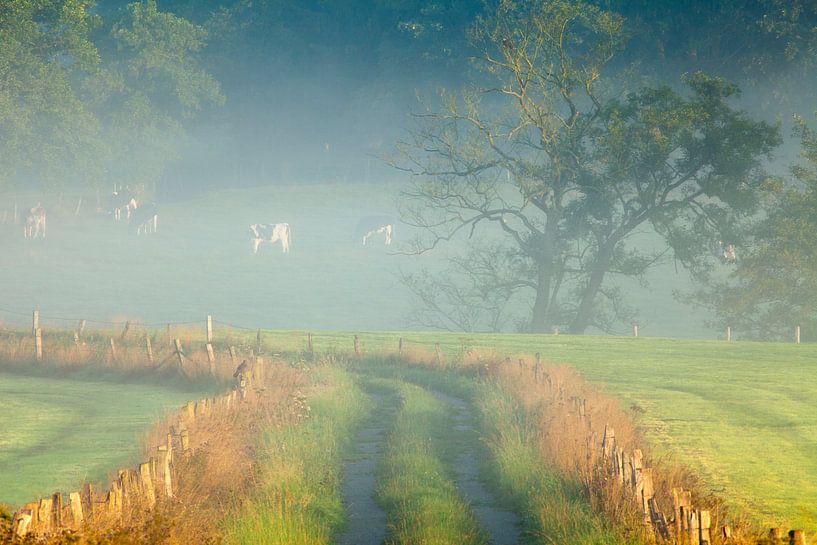 Duitsland, Sauerland van Frank Peters